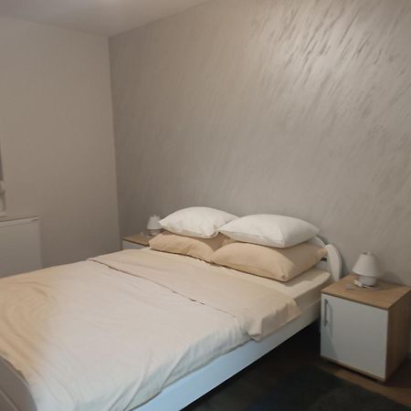 Apartment Dana Banja Koviljača الغرفة الصورة