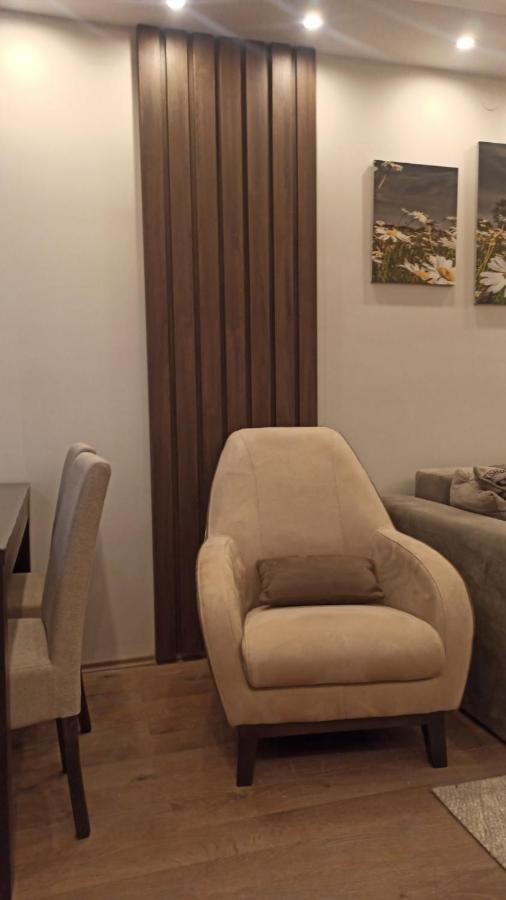 Apartment Dana Banja Koviljača المظهر الخارجي الصورة