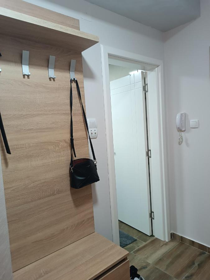 Apartment Dana Banja Koviljača المظهر الخارجي الصورة